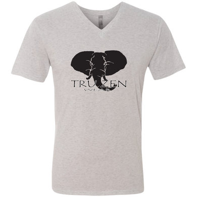 Tru Zen / Tru Life ~ Next Level Men's Triblend V-Neck T-Shirt - Tru Zen Wear