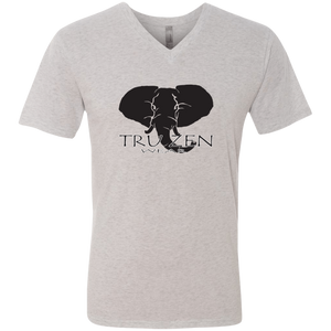 Tru Zen / Tru Life ~ Next Level Men's Triblend V-Neck T-Shirt - Tru Zen Wear