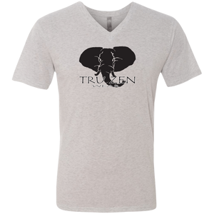 Tru Zen / Tru Life ~ Next Level Men's Triblend V-Neck T-Shirt - Tru Zen Wear