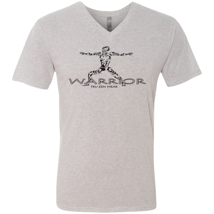 Tru Warrior ~ Men's Triblend V-Neck T-Shirt - Tru Zen Wear